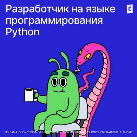 Разработчик на языке программирования Python — slurm.io